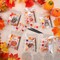 24 Sets Fall Thanksgiving Suncatchers Ornaments Decorations DIY (Multicolor) 9.84 x 5.91 x 3.54 inches